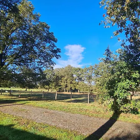 Mobil-home Xl Animaux - 2 - 5 Personnes - Coeur De Vendee - Puy Du Fou Campingplatz *