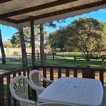 Mobil-home Xl Animaux - 2 - 5 Personnes - Coeur De Vendee - Puy Du Fou Campingplatz