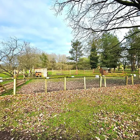 M.home Acces P006 2chbr/5pers Campingplatz