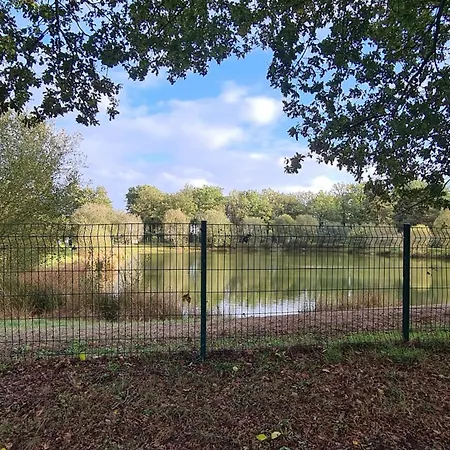 Camping Mobil-home Xl Pres Des Animaux - 2 - 5 Personnes - Coeur De Vendee - Puy Du Fou La Boissiere-de-Montaigu