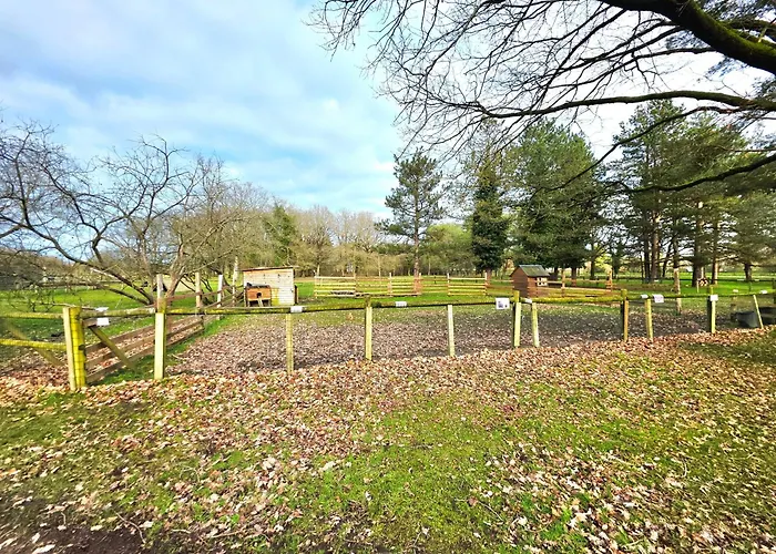 M.home Acces P006 2chbr/5pers Campingplatz